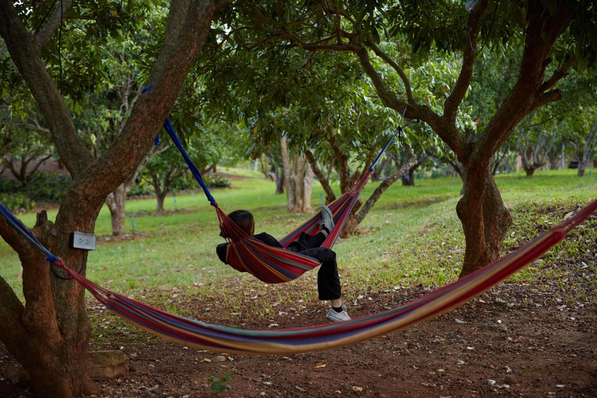 ホテル Nuyu Khaoyai Pong Talong エクステリア 写真